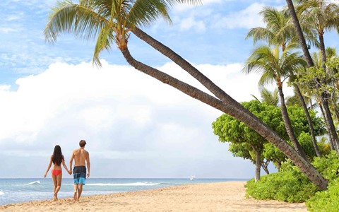 Can you have your Hawaiian dream holiday on a budget?