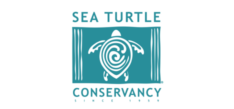 sea-turtle-conservancy-logo